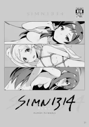 SIMN1314