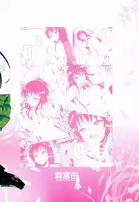 (C86) [Morimiyakan (Morimiya Masayuki)] Hana no Toriko (To LOVE-Ru) [English] {ageps}