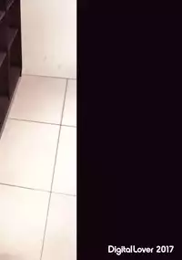 (SC2017 Winter) [Digital Lover (Nakajima Yuka)] DLO-01 Kare to no Yakusoku [Chinese] [CE家族社]