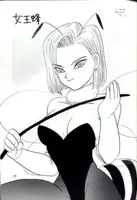 [Chirigami Goya, Fusuma go Ten (Shouji Hariko)] YYY (Dragon Ball)