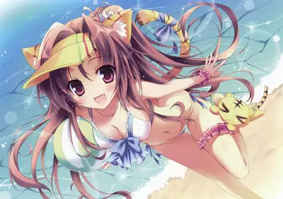 Toranoana Chronicle 2012