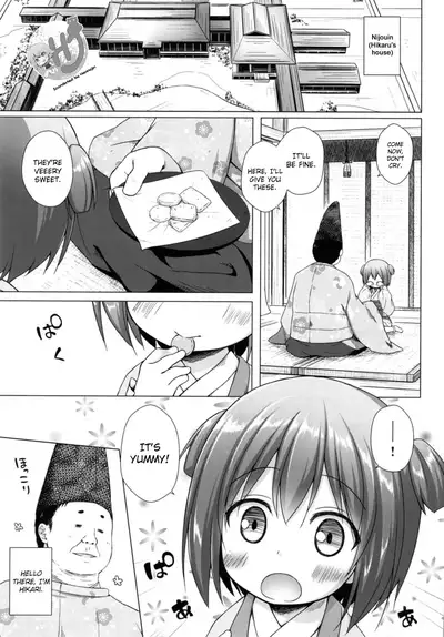 Hikari no Kimi no Saganaki Keikaku <Wakamurasaki>