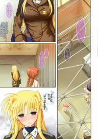 (C80) [STUDIO HUAN (Raidon)] Fate Zecchou + Rinkan Full Color Soushuuhen (Mahou Shoujo Lyrical Nanoha)