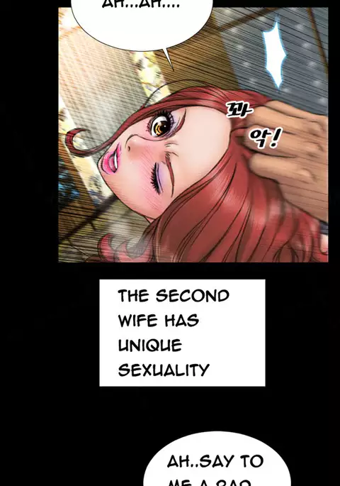 My Wives Ch.1-21
