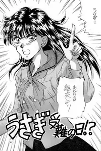 (C43) [Y'S COMPANY (Araki You)] HONEY PIE (Bishoujo Senshi Sailor Moon)