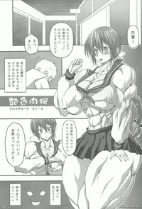 (C83) [Mama ni wa Naisho (Purukogi Beach)] Enshoku Niku Sakura - Coquettish Flesh Cherry (Dead or Alive)