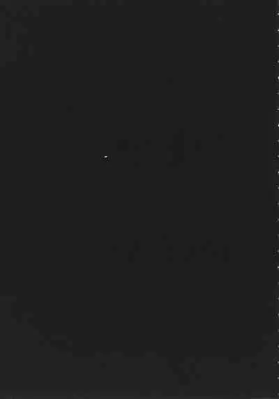 [Kizuki Rei] GAME OF BITCHES the escape