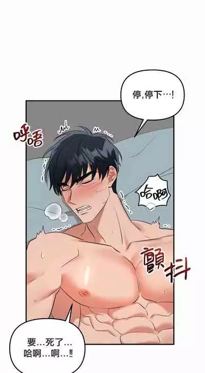 奇妙玩具来袭 01-03 Chinese