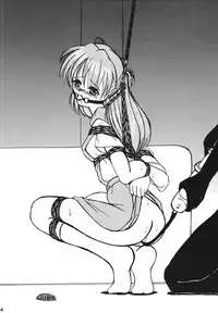 [Thirty Saver Street 2D Shooting (Maki Hideto, Sawara Kazumitsu)] Second Hobaku Project 2 (Neon Genesis Evangelion) [Digital]