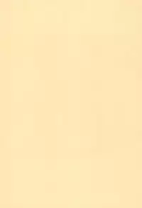 (Reitaisai 14) [Cat Expert (Nekousa)] Chen to Issho -Ohirune mo Issho- (Touhou Project)