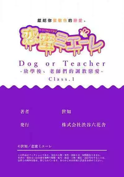[Sechi] Dog or tīchā - hōkago, sensei-tachi no shitsuke ke ai - | Dog or Teacher-放学后，老师们的调教恋爱- Class.1-5 end [Chinese] [莉赛特汉化组]