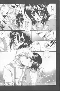 (C70) [PONCHEES (KARI) (Irohane Sui)] Rukia Kuchiki Minimum Maniax File (BLEACH)