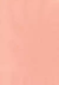 (Kouroumu 5) [Nimame (Nakayama Miyuki)] TORATONE (Touhou Project) [English]