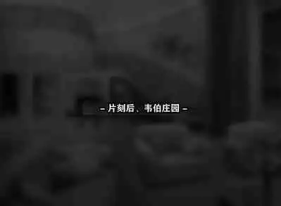 Yor story(有条色狼汉化)