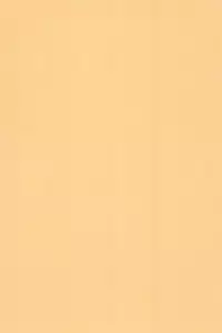 (C74) [Ashinoie (Taryl.)] Hinnyuu Musume 19 (Berserk)