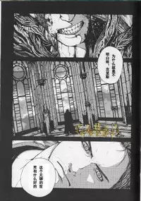 生化危机：终结 [中文]