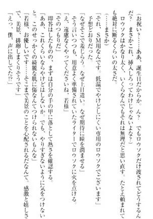 年上メイドの新婚日記