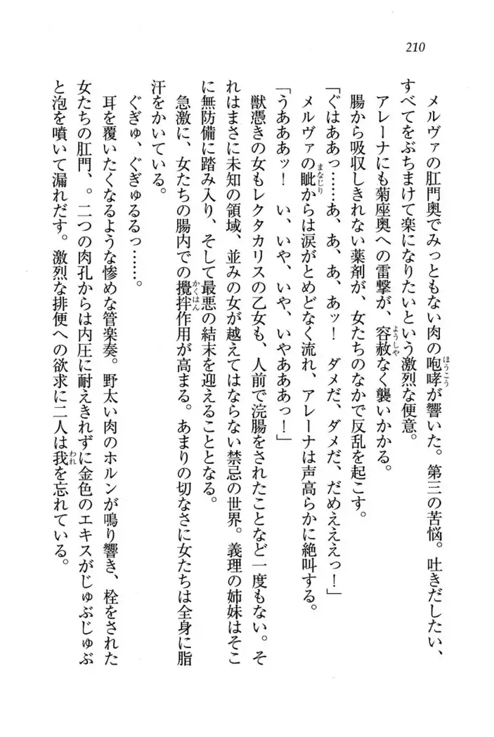 Circus～聖杯の魔法使い