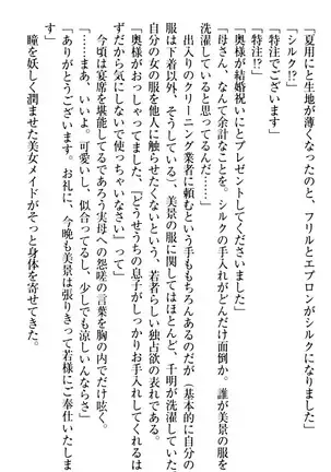 年上メイドの新婚日記