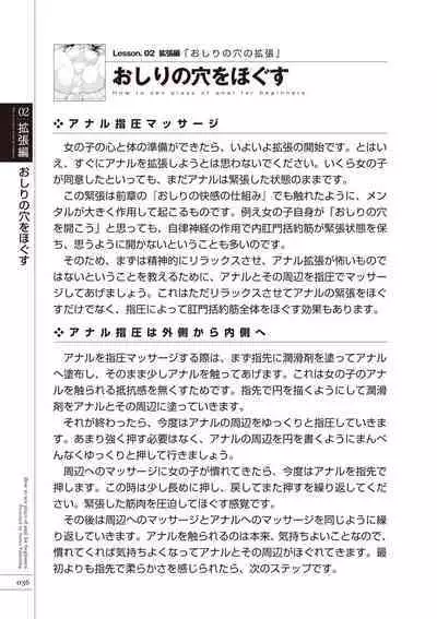 いますぐデキる 図説おしりエッチマニュアル