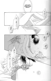 [Ronno & Kalus (Takada Bambi)] Hermaphrodite 7 (Fullmetal Alchemist) [English] [Secret Garden]