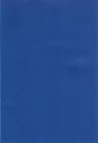 (C51) [Chimatsuriya Honpo (Various)] FSB (Neon Genesis Evangelion)