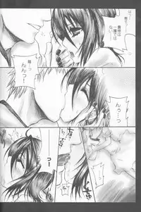 (C70) [PONCHEES (KARI) (Irohane Sui)] Rukia Kuchiki Minimum Maniax File (BLEACH)