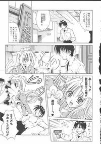 [Matra Milan] Palladium Garden