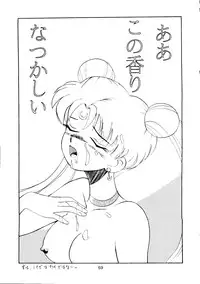 [T2 UNIT, RyuukiSya, Sakura ROC (Various)] LUNATIC ASYLUM (Sailor Moon)