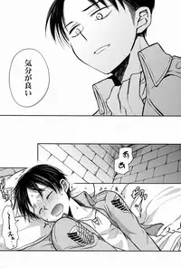 [Sonic (PANA)] Kore wa Joukan Meirei-desu ka? (Shingeki no Kyojin)