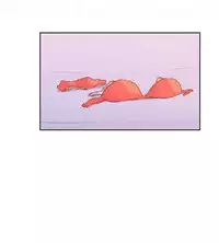 調教女大生【中文】