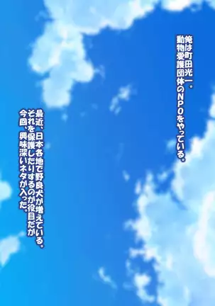 Captured a Busty Girl Who Was Raised By Stray Dogs to Make Her a Slutty Girl