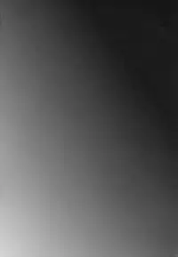 (Futaket 9.5) [Cannabis (Shimaji)] Rui-Rui VS Kokujin Chinpo (Gatchaman Crowds)