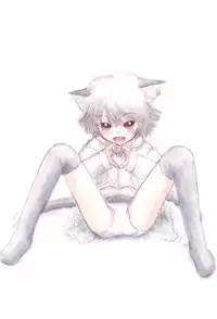 (Reitaisai 13) [Saraband (Shimofusa Saburo)] Chen-chan no Chotto Ecchi na Hon (Touhou Project)