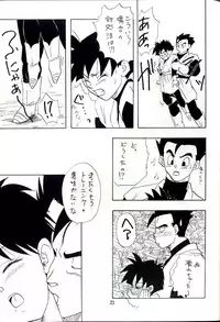 [Chirigami Goya, Fusuma go Ten (Shouji Hariko)] YYY (Dragon Ball)