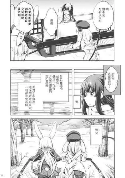 Run Rabbit Lovely Rough | 陆地，兔子，迷人的，爱