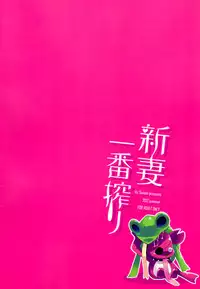 (C82) [hlz (Sanom)] Niiduma Ichiban Shibori (Queen's Blade) [English] [CGrascal]