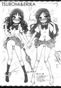 (C78) [life, Digital Flyer (Haga Yui, Ohta Yuuichi)] DIGITAL LIFE 2010 SUMMER Hana (HeartCatch Precure!)