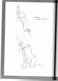 (COMIC1) [Soreya (Nishitsuki Tsutomu)] lyrical Festival! A's (Mahou Shoujo Lyrical Nanoha)