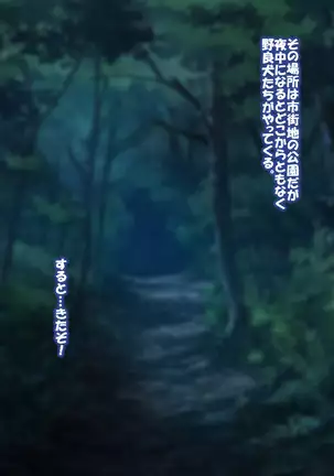 Captured a Busty Girl Who Was Raised By Stray Dogs to Make Her a Slutty Girl