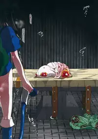 (Reitaisai 12) [02 (Harasaki)] 0210564801 (Touhou Project)