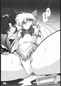 (C55) [Studio Z-AGNAM (Wing Bird)] DOGAKOMUSUME EX BOMBER MOON (Sailor Moon)