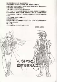 (CR32) [Toko-ya (Kitoen)] Mo Ichido Tamanegi Ringo. (Breath Of Fire III)