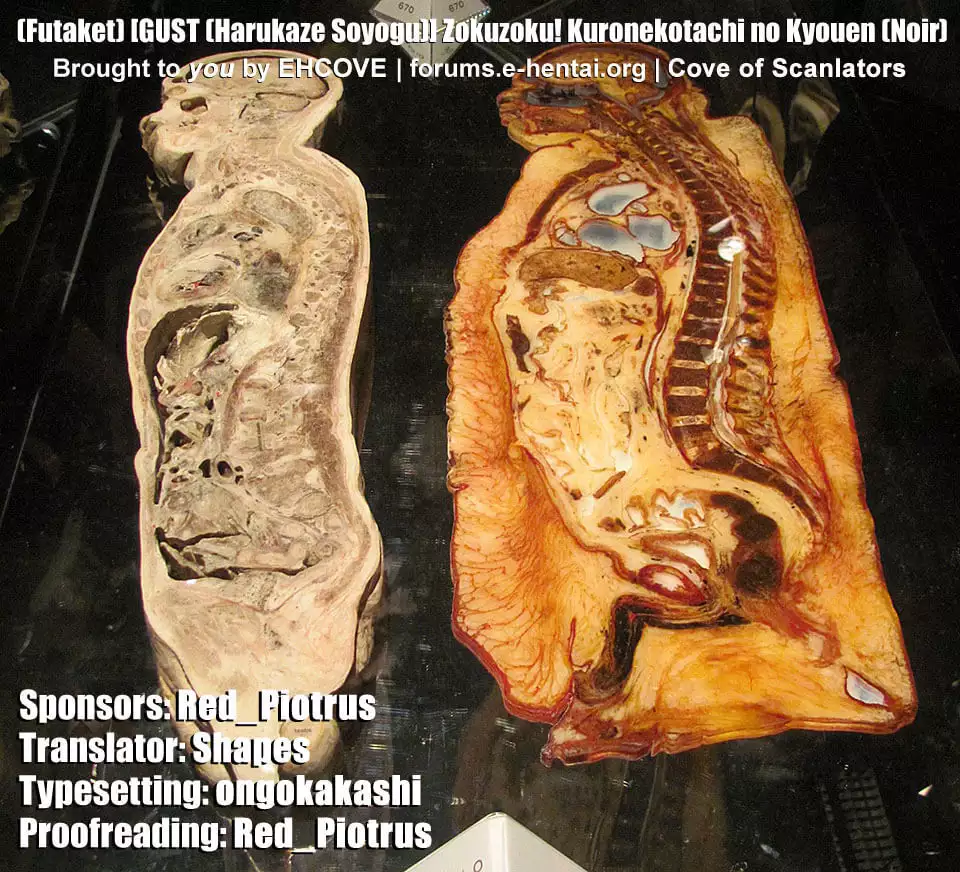 Zokuzoku! Kuronekotachi no Kyouen | In Succession - Chloe's Feast