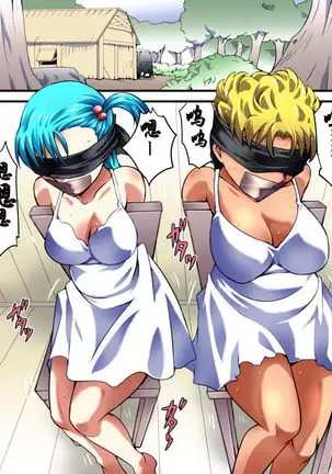 Yokubou Kaiki Dai 526 Shou -Minoshirokin Youkyuu Shippai Bulma Oyako Yuukai Rape Jiken-