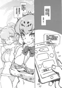 (SC2017 Winter) [CHIBIKKO KINGDOM (Kekocha)] Sekiyuou no Friends ga Doubutsuen o Tsukutta no de Itte Kita. (Kemono Friends) [Chinese] [Ｋ莫諾湖戀組]