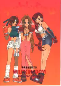 (C52) [Wild Kingdom (Sensouji Kinoto)] Final Heaven (Final Fantasy VII)