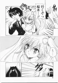 [Hirokawa Tomo] Cherry Concerto