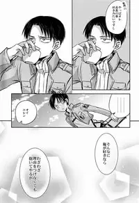 [Sonic (PANA)] Kore wa Joukan Meirei-desu ka? (Shingeki no Kyojin)