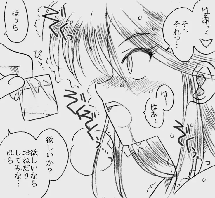 Fukazawasanto Haradasan Kusuridukeni sarete Ryoujyokusareru